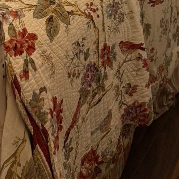 Waverly Charleston Chirp Reverses scalloped Birds Toile cottage farm Full Queen - Picture 3 of 16